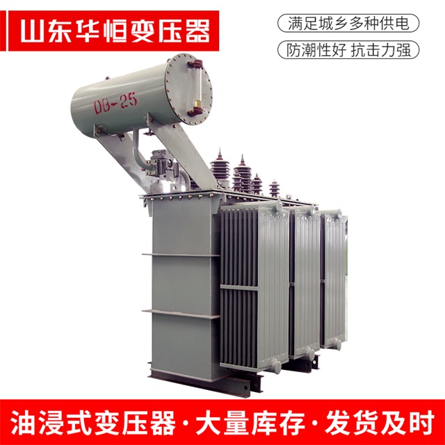 S11-10000/35沧州沧州沧州电力变压器厂家
